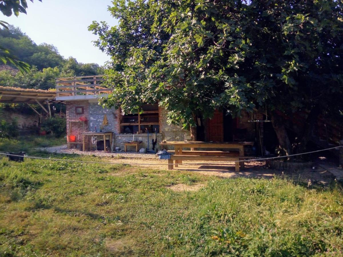 The House In The Village Pellumbas 外观 照片